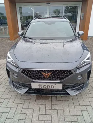 CUPRA Formentor Formentor 2.0 TDI 4Drive Navi Winter P.