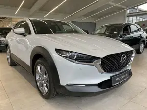 Mazda CX-30 2025 2.5 Exclusive AUTOMATIK 360°, Bose, Matrix, e