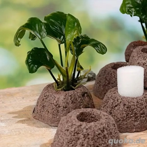 Pflanzenhalter aus Lavagestein zum Bepflanzen Bild 7
