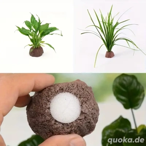 Pflanzenhalter aus Lavagestein zum Bepflanzen Bild 3