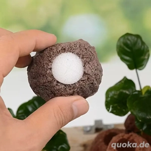 Pflanzenhalter aus Lavagestein zum Bepflanzen Bild 6