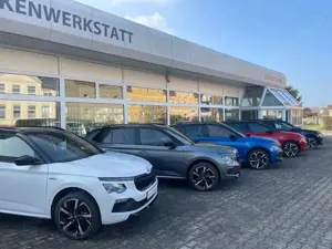 Skoda Kamiq Monte Carlo Facelift 1.0 TSI DSG Panorama ACC