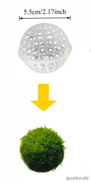 Schwimmende Moosbälle- kugeln zum Bepflanzen Bild 2