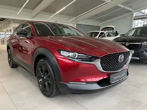 Mazda CX-30 2.5 Homura AUTOMATIK Kamera, PDC, SHZ, el. Heckkla