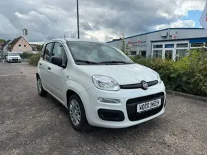 Fiat Panda 1.0 Hybrid Bild 4