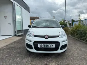 Fiat Panda 1.0 Hybrid Bild 3