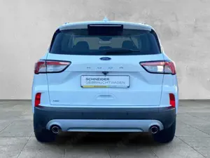 Ford Kuga TITANIUM 2.0 ECOBLUE 4x4 Titanium NAVI+KLIMA+LED+A Bild 4