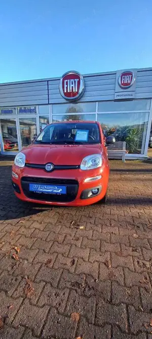 Fiat Panda Panda/Pandina 1.2