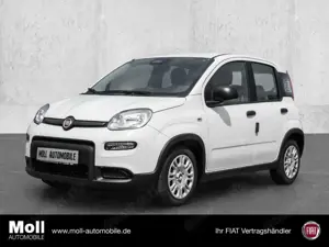 Fiat Panda Mild Hybrid City Paket  Gelato Weiß