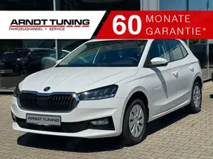 Skoda Fabia 1.0 TSI 116 DSG Selection 5-Jahre Garantie