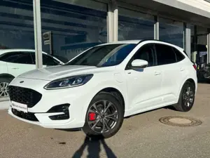 Ford Kuga ST-Line 2,5l PHEV Aut./AHK/Tech-Pak