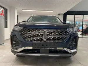 GWM WEY 03 Luxury Plug-in-Hybrid NAVI/KAMERA360 Bild 5
