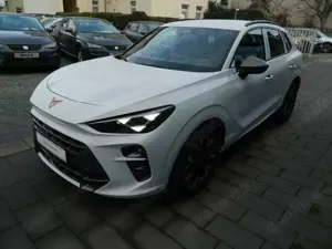 CUPRA Terramar 1.5 eTSI DSG Sitzheiz/AHK/EdgeP/IntelligentD L/Dig Bild 3