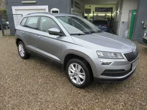 Skoda Karoq TSI Style Bild 3