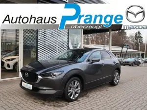 Mazda CX-30 M-Hybrid G-140 AT Takumi LEDER-S *Dezember-Aktion*