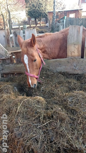 beistellerin abzugeben