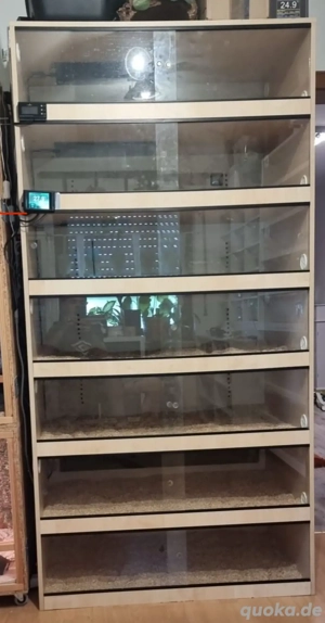 Terrarien Terrarack Rack