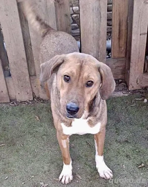 MAILY, liebevolle Seele..