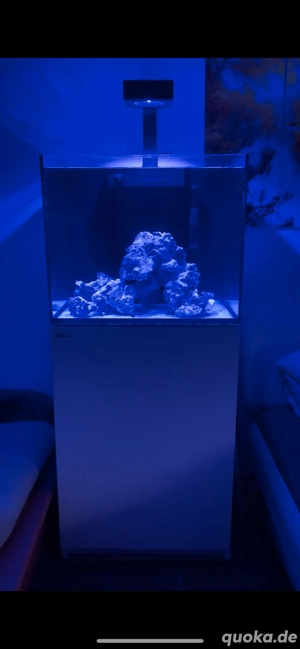 Red Sea Reefer 170 Komplettsystem