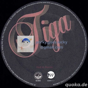 Tiga - Hot In Herre 2003 12" Vinyl Hip Hop Minimal House