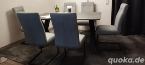 6 Schwingstuehle Neuwertig