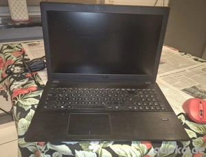 Russky toy baby hund