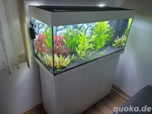 Aquarium Juwel 180 LED
