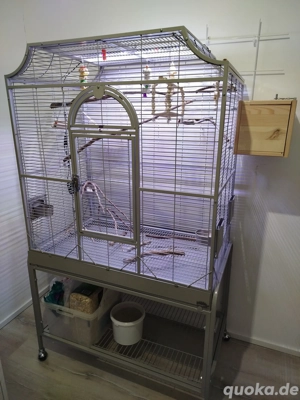 Premium XXL Vogelkäfig Montana Cages Madeira III 3 Neuwertig Set