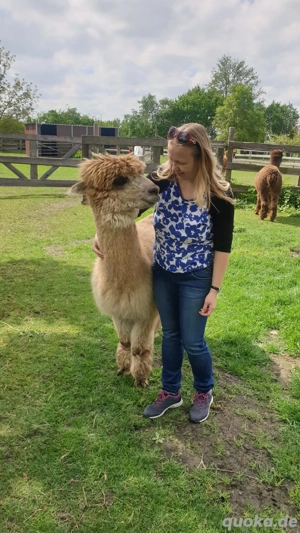 Ich biete Babysitting an