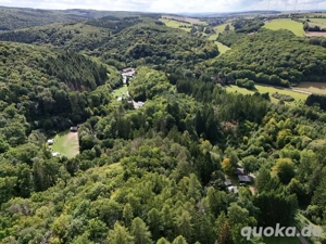 Naturcampingplatz in der Weinregion Nahe - mit Mietobjekten, Betreiberunterkunft und Restaurant Bild 3