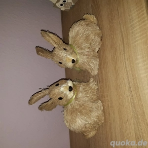 Bastosterhasen sitzend  