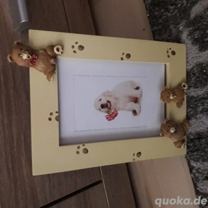 Bilderrahmen mit Teddybären, Bildformat 10x15cm neu  