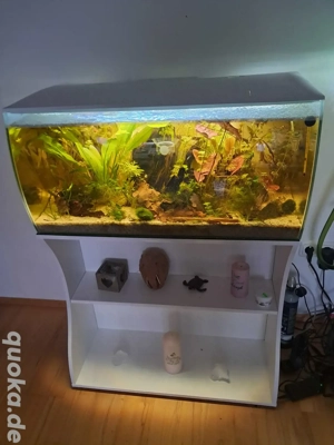 Tolles Aquarium von Fluval komplett zu verkauft 