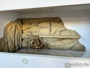 Kunststoff Terrarium 