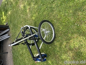 Rolli für großen Hund