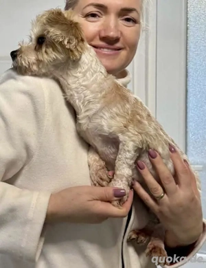 Katzenverträgliches Minimäuschen MINU..