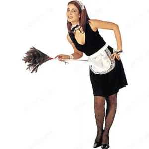 Nette Haushaltshilfe   Reinigungskraft gesucht