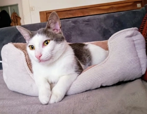 Tom & Pisa - ein unzertrennliches Pärchen Bild 8