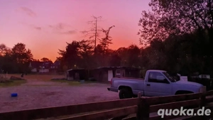 Offenstallplätze frei