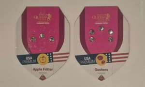 Letzte Samen aus Sammlungsauflösung (Auto Fem)