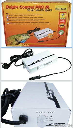 Schildkröten abzugeben