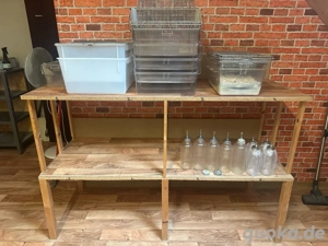 Makrolon Käfig zur zucht für Mäuse u Ratten