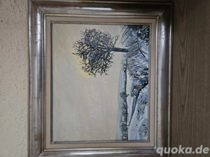 Schneebild Schulz Merlies