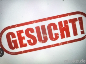 Ältere Golden Retriever Hündin gesucht bis etwa 8 Jahre