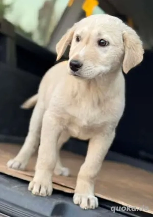 Lieber Bub Mex möchte geknudelt werden