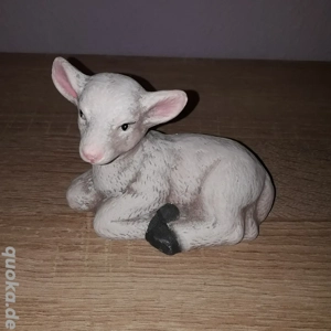 kleines liegendes Lamm  