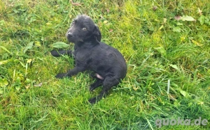 Wer schenkt dem kleinen Karsten sein Herz und ein liebevolles Zuhause?