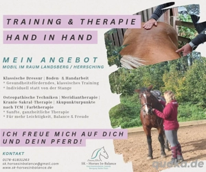 Reitunterricht & Pferdebewegungstherapie - mobil