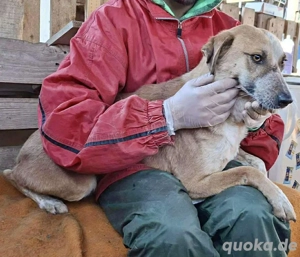 Zartes Herzchen Marry....