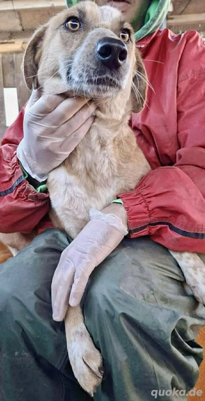 Zartes Herzchen Marry....